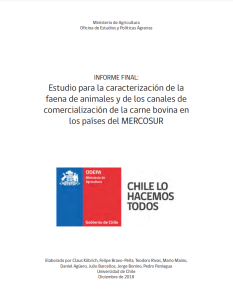Meat chains in Mercosur